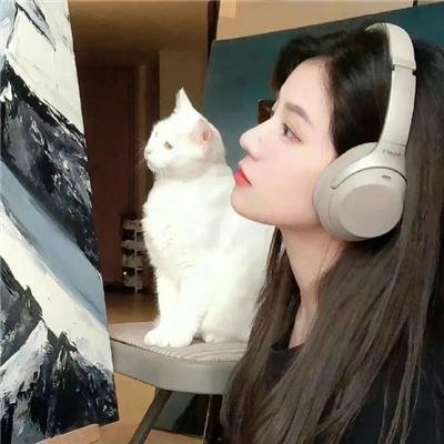 请你杀了我