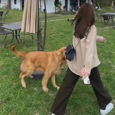 杀手保镖